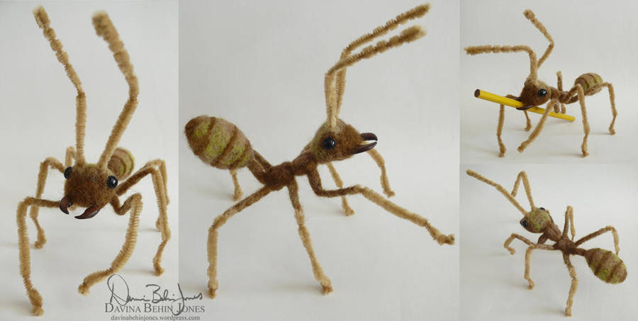 weaver_ant_by_familiaroddlings
