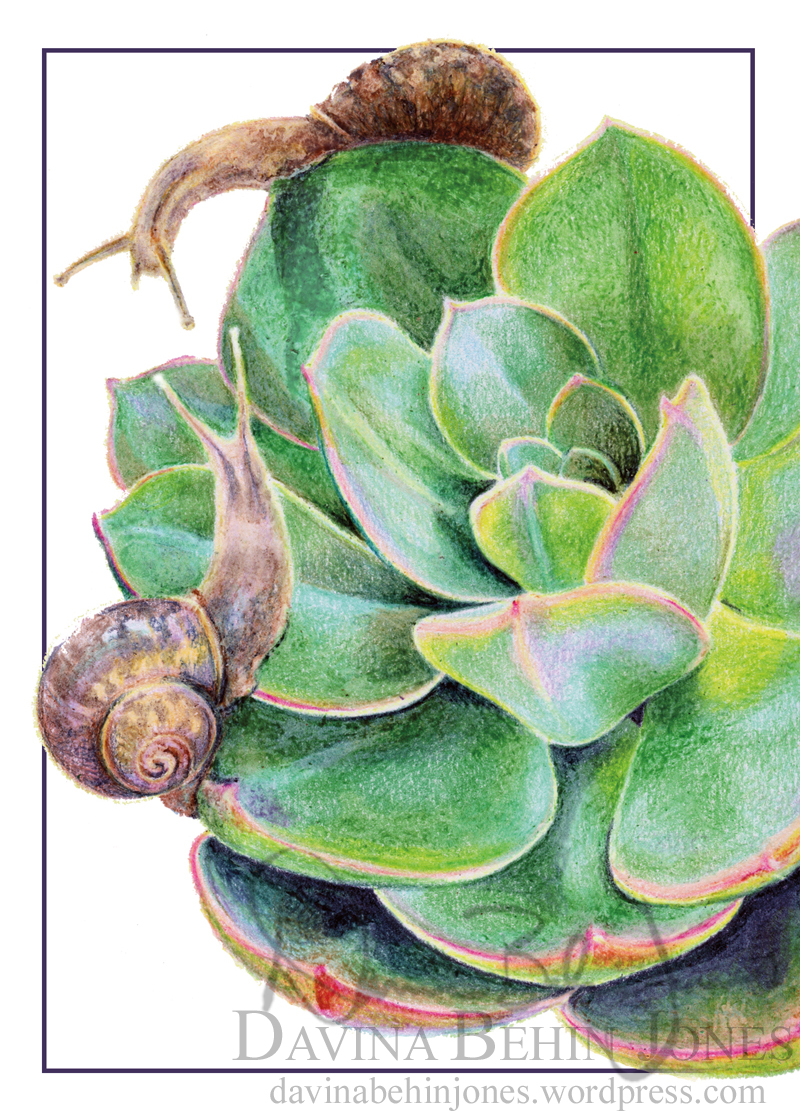 SnailSucculent_ThankYous_web
