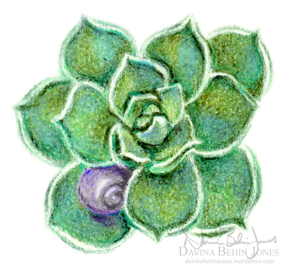SucculentShell_sticker_web