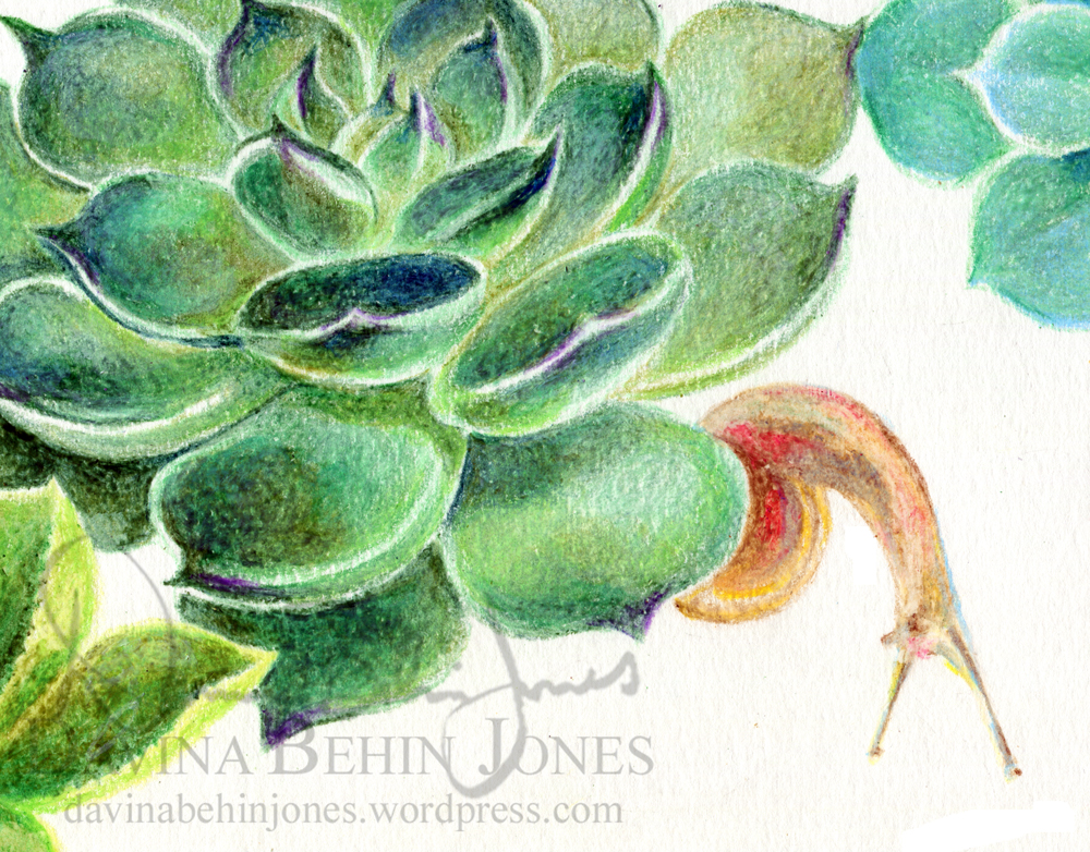 SucculentSnail_Invitation_detail