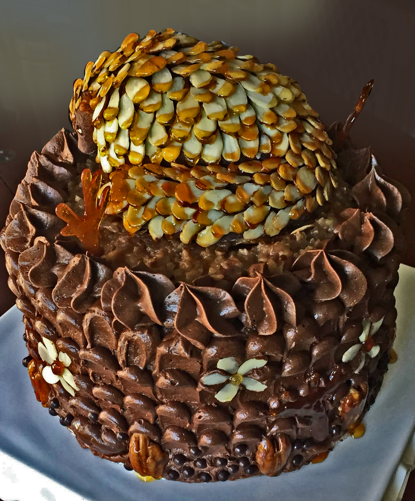 PangolinCake_backweb