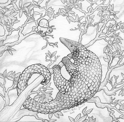 LorisnailPangolin_web