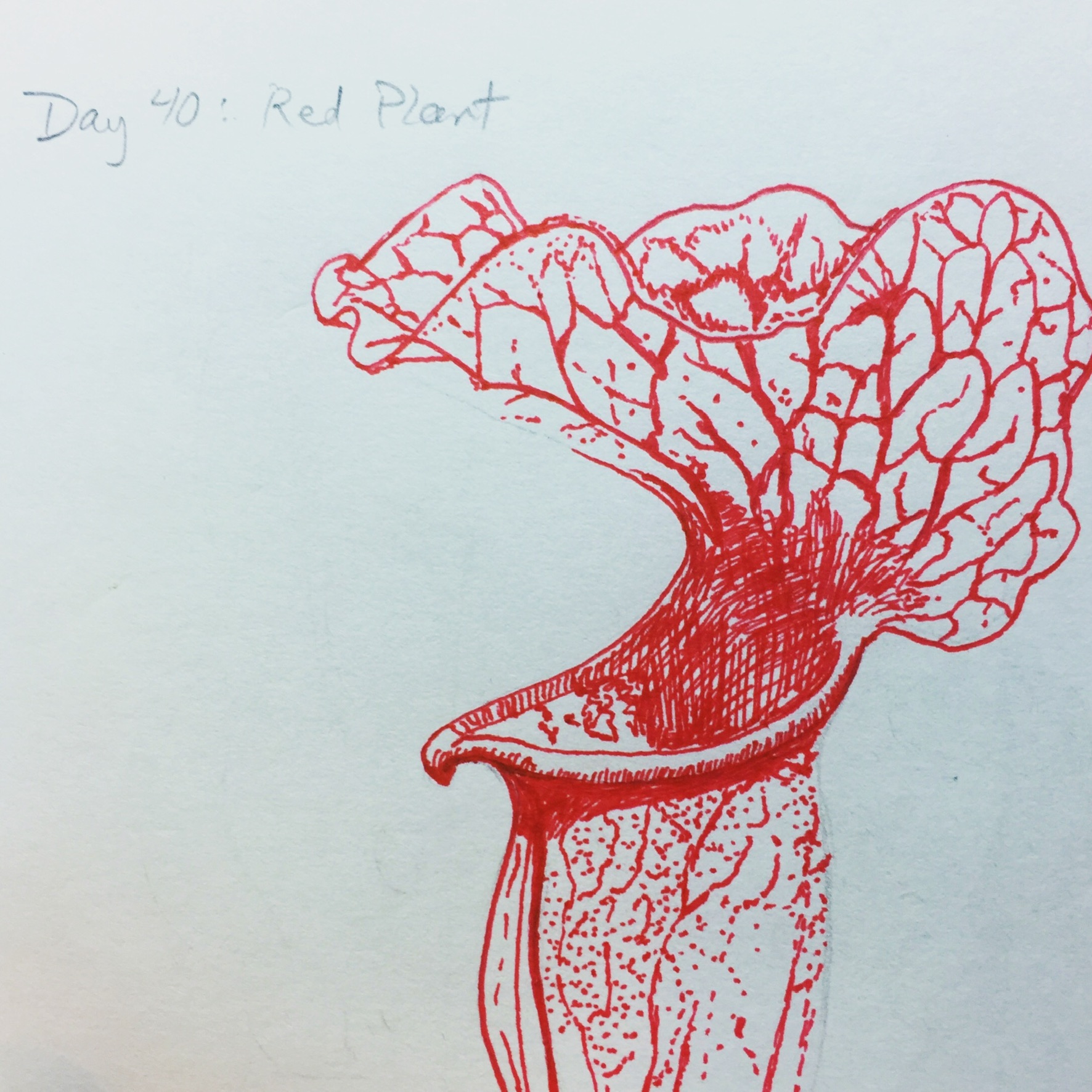 016F24C1-775C-4CCA-A8CC-D7821AAD8418