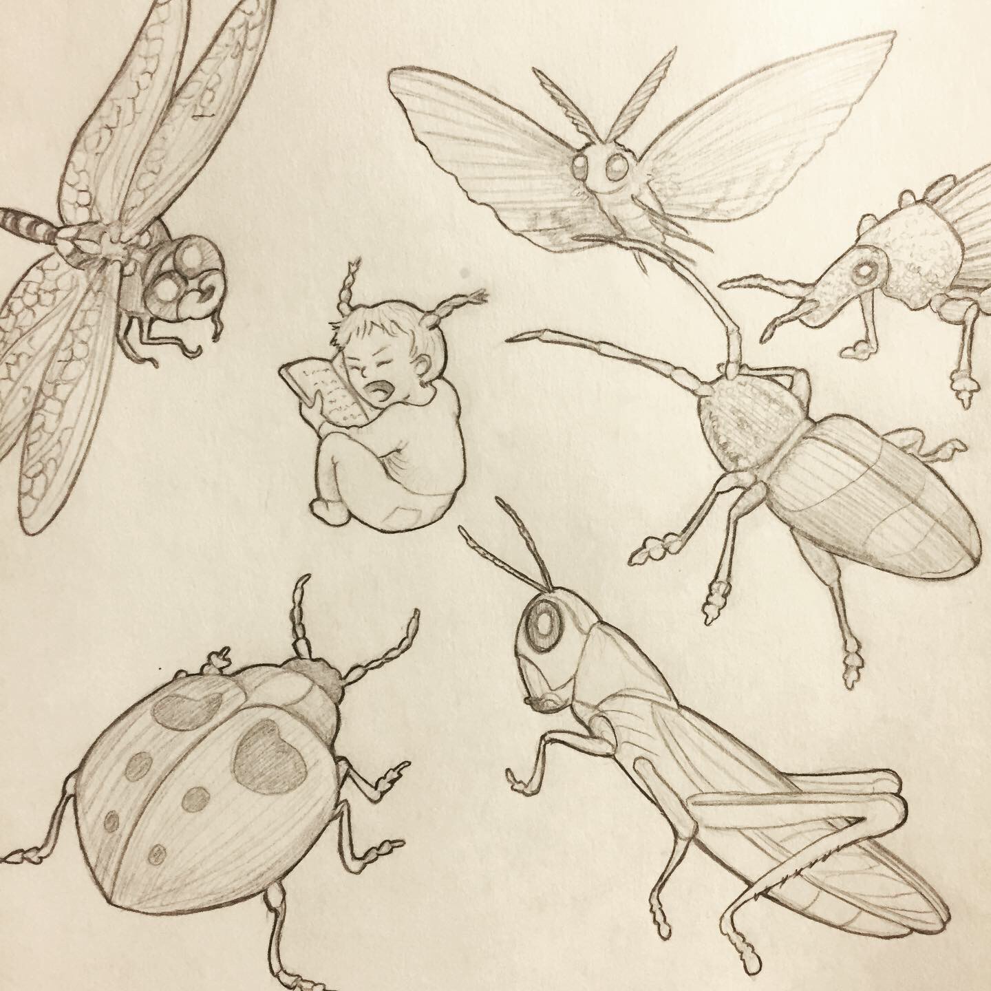 2FA68424-1A1D-42ED-BA05-055A126F34D0