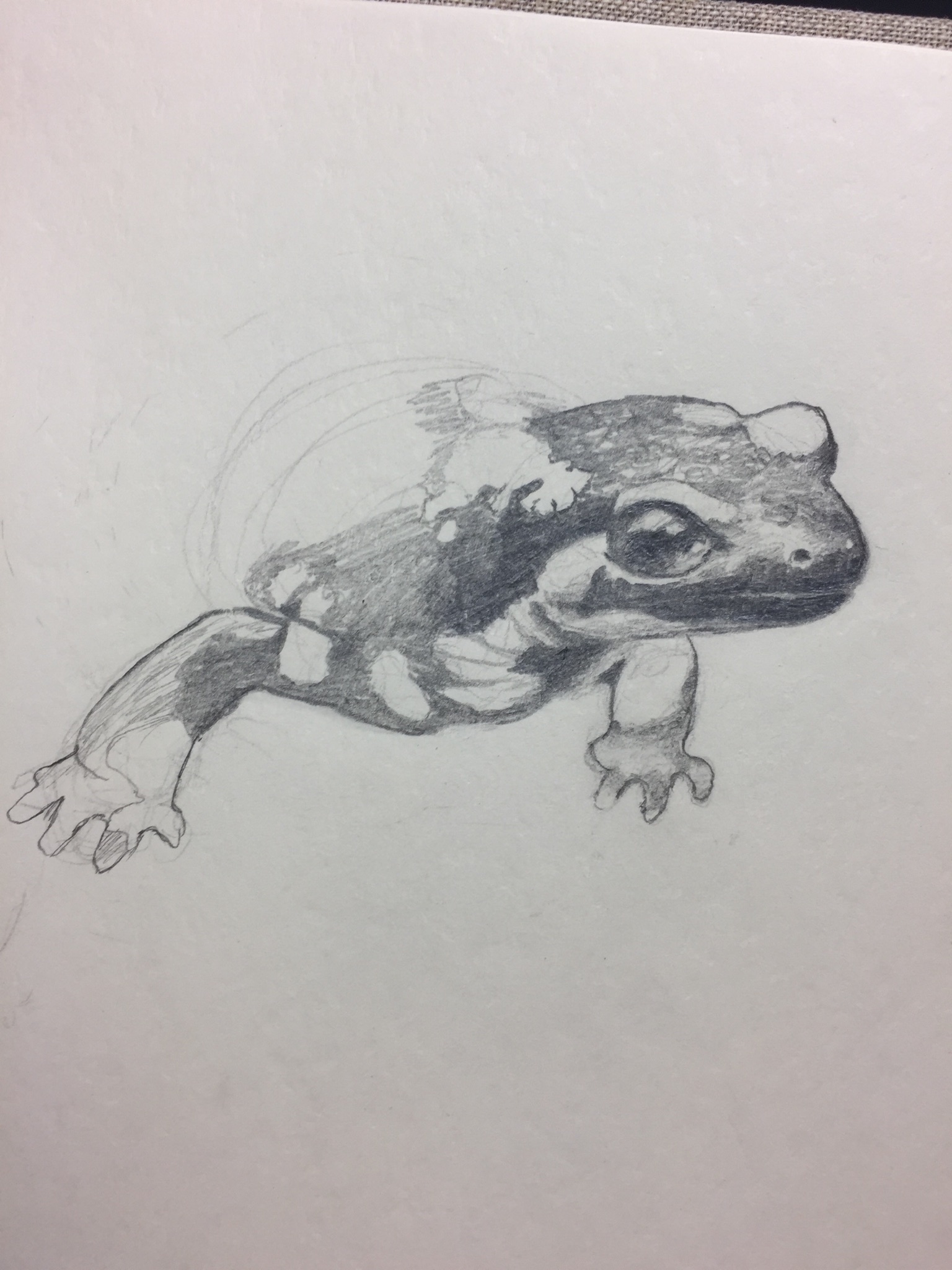 31170186-E151-4E20-ABF4-0895F4B56822