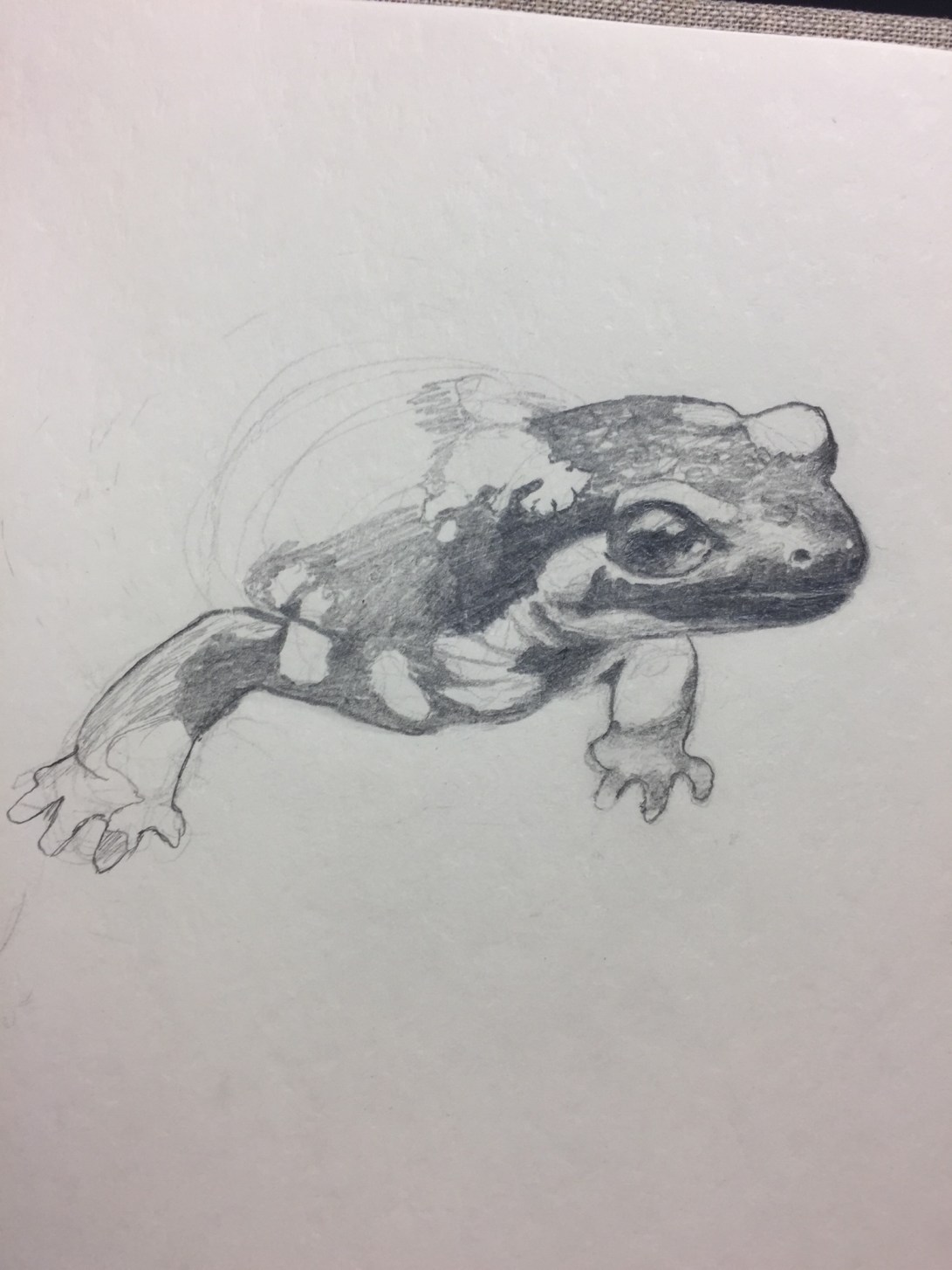 31170186-E151-4E20-ABF4-0895F4B56822