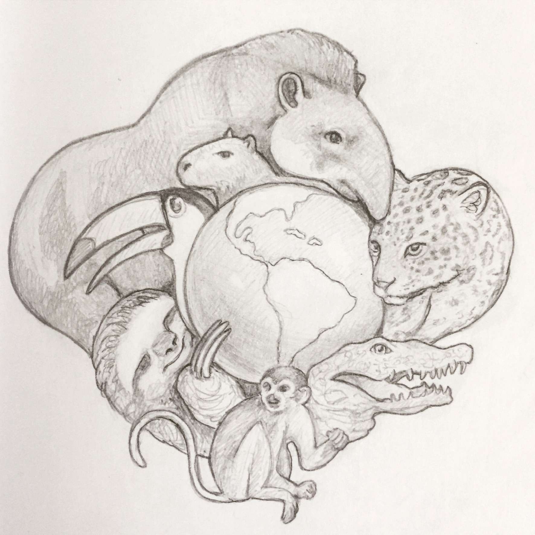 3A662AD2-C62A-4B31-96D0-3C4B8E5AE9DA