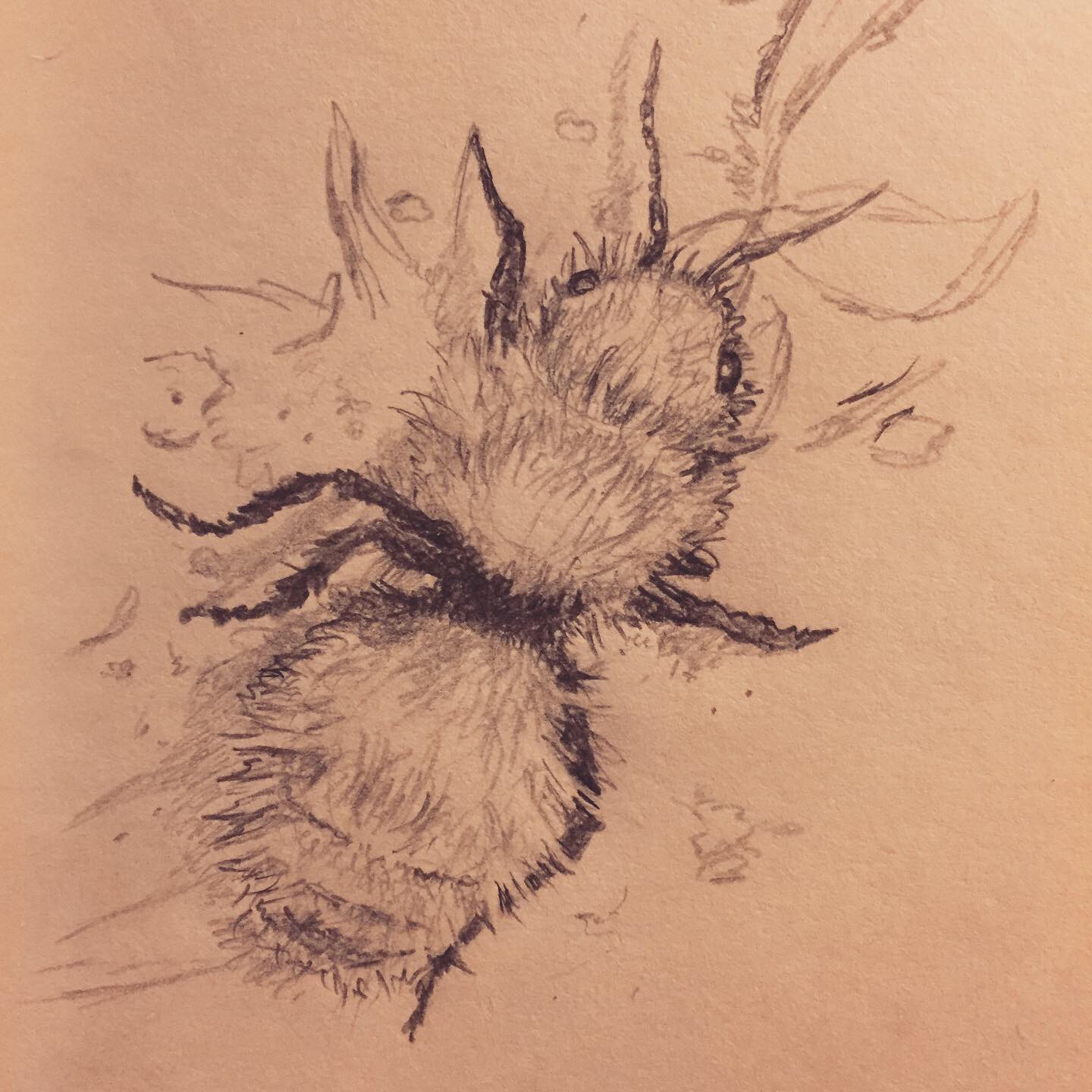 3F850ED6-E0DB-4788-A329-90DCBA4FE281