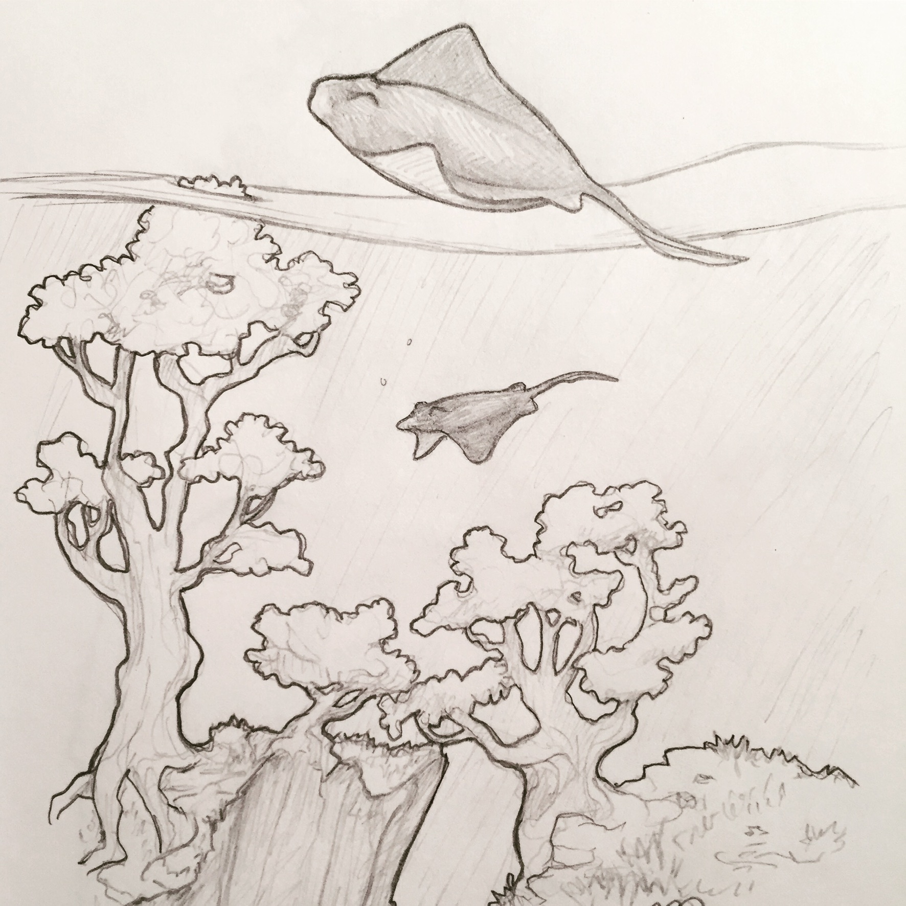 4F13F971-F794-4C64-98CA-6908FAC198E7