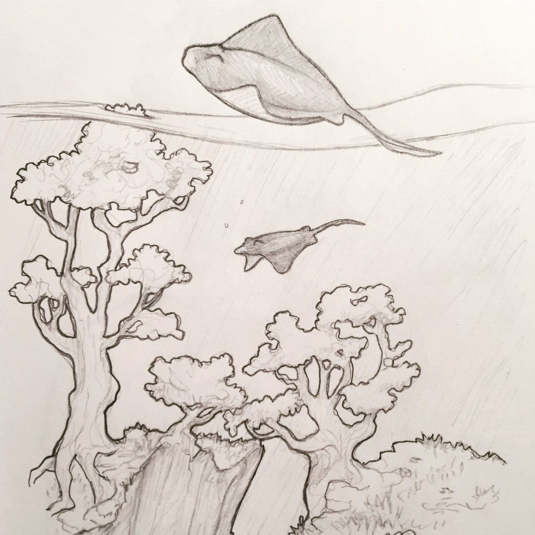 4F13F971-F794-4C64-98CA-6908FAC198E7