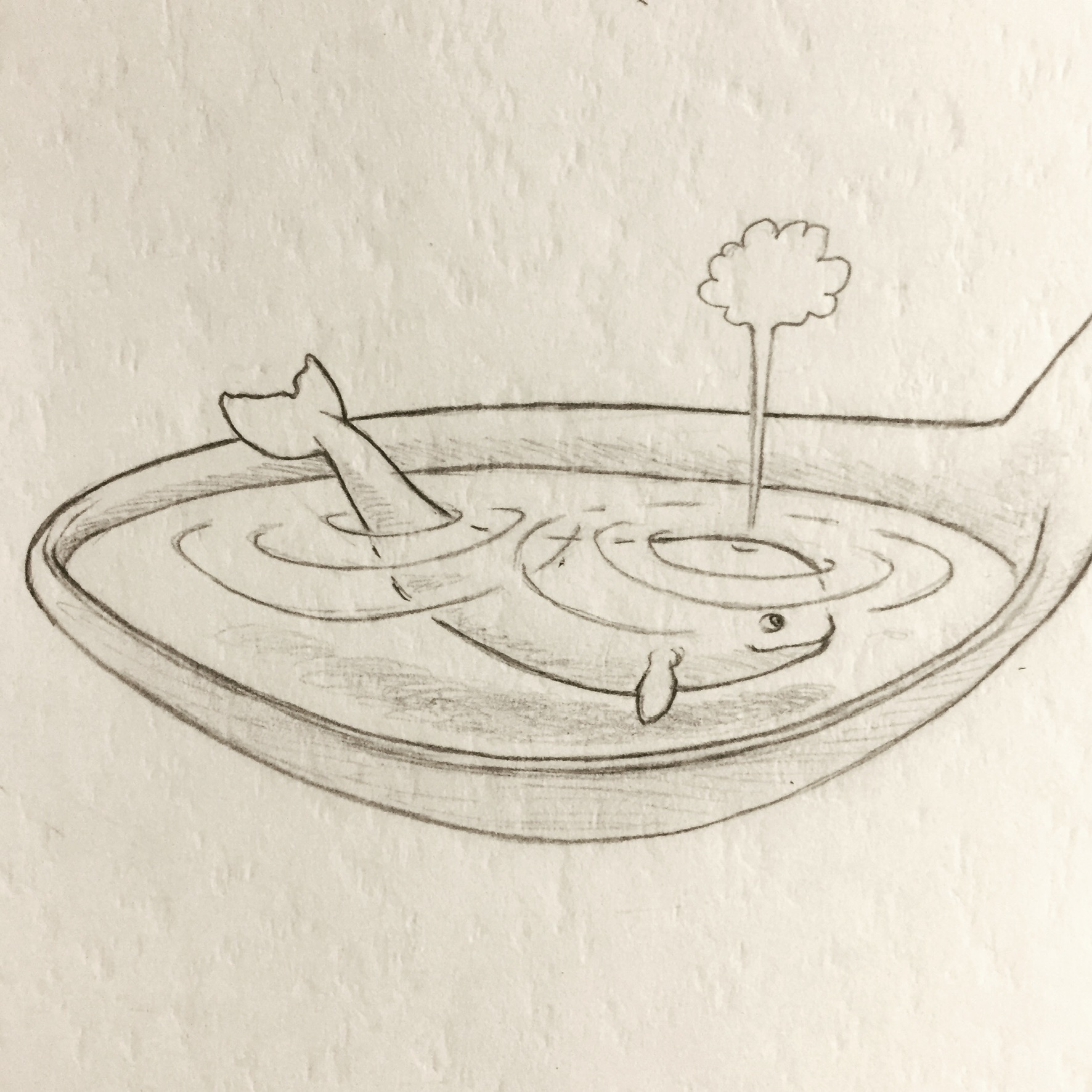 5A0C5D2A-7B5B-4CFB-A9AA-370FC325D1F2