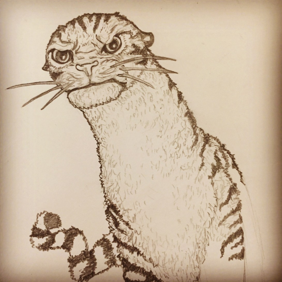 5E97C012-C0EA-45FF-86AF-A017AF187AA5