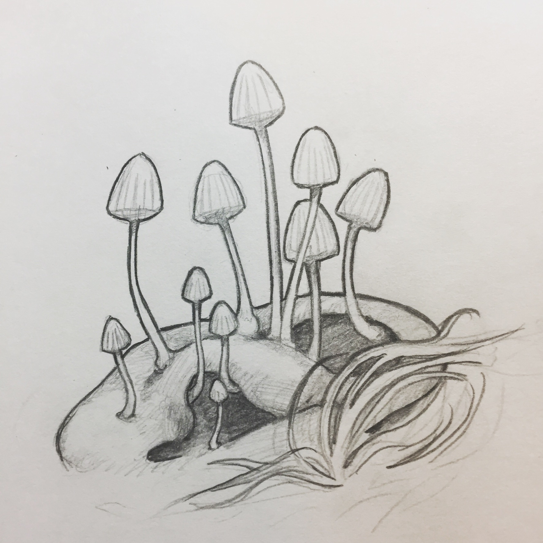 8440E3C9-ECEC-4110-8A01-C5EABE765139