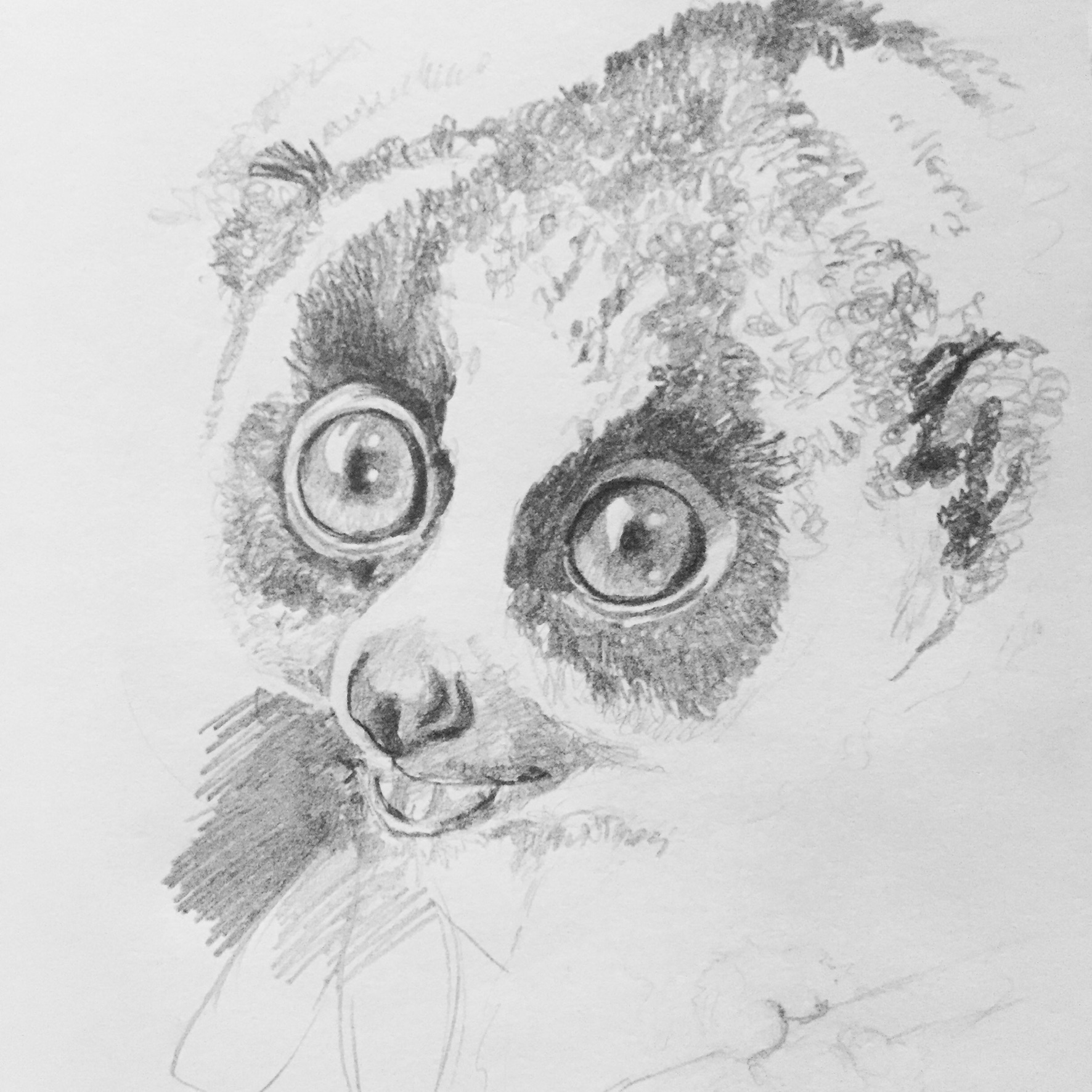 9C73F633-428C-4ADC-A3D6-A479FCA47320