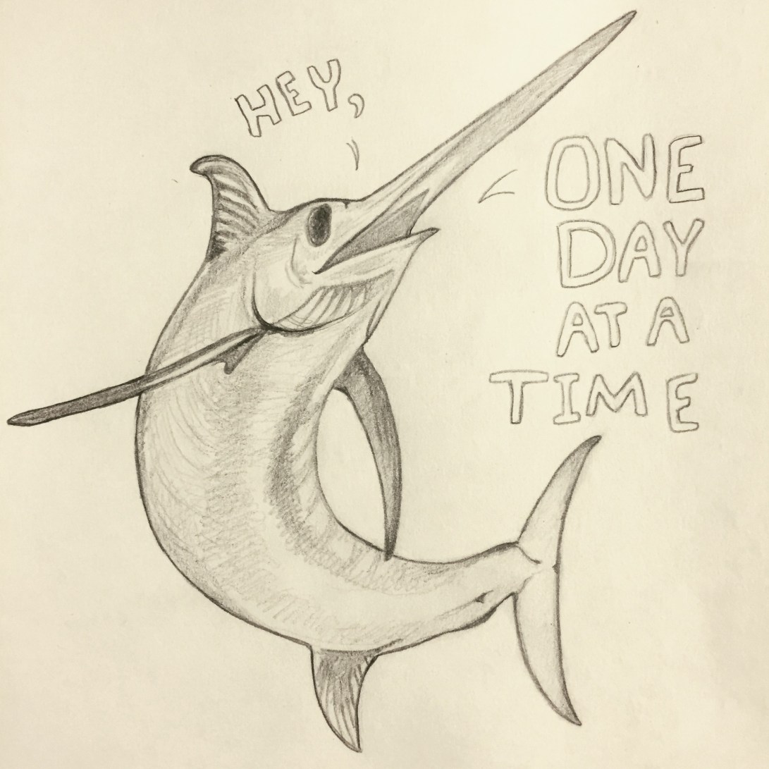 D2E5CC3D-C025-41B4-95DE-16BA491B6CB4