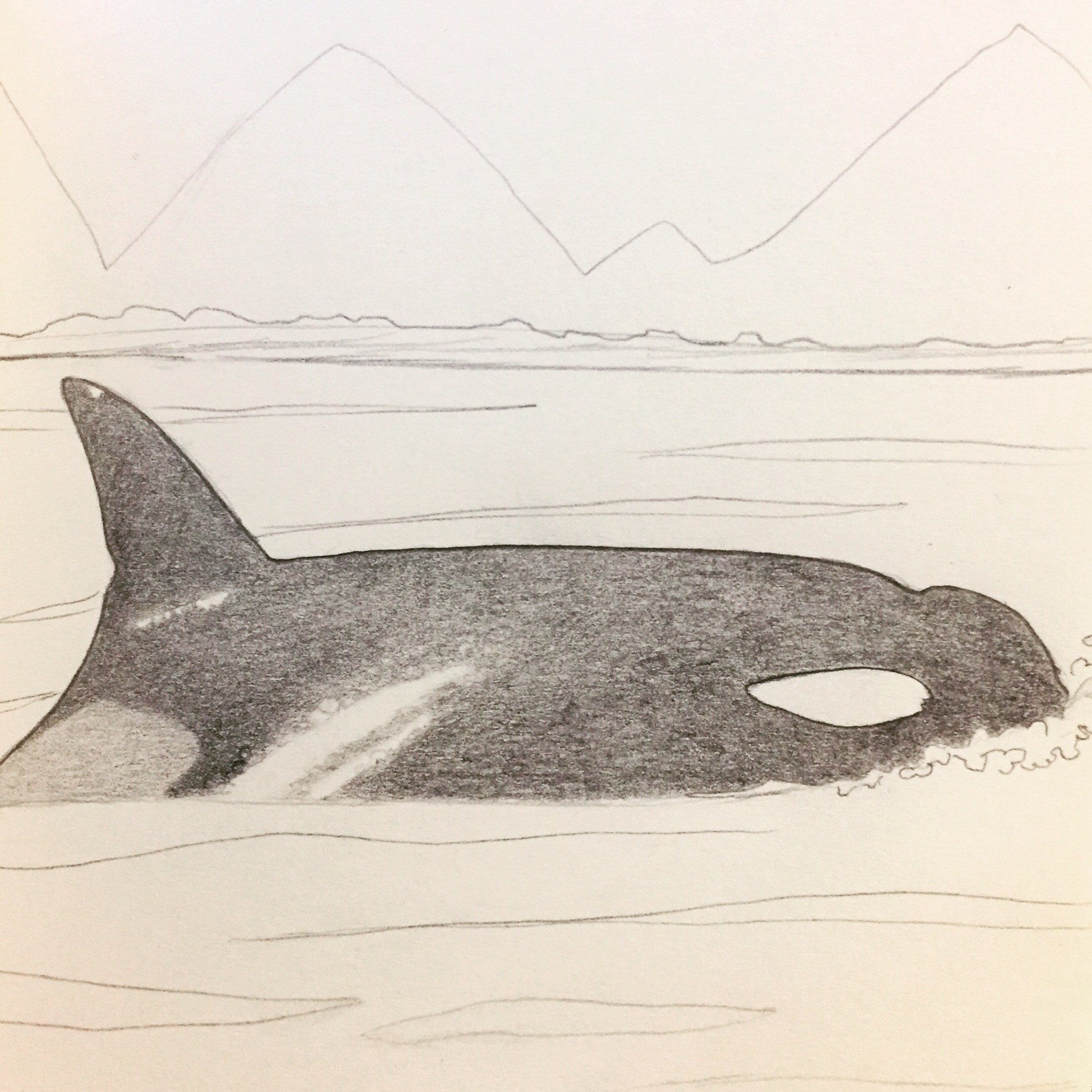 D59DDA99-192D-4C58-A818-E5BF0F694A09