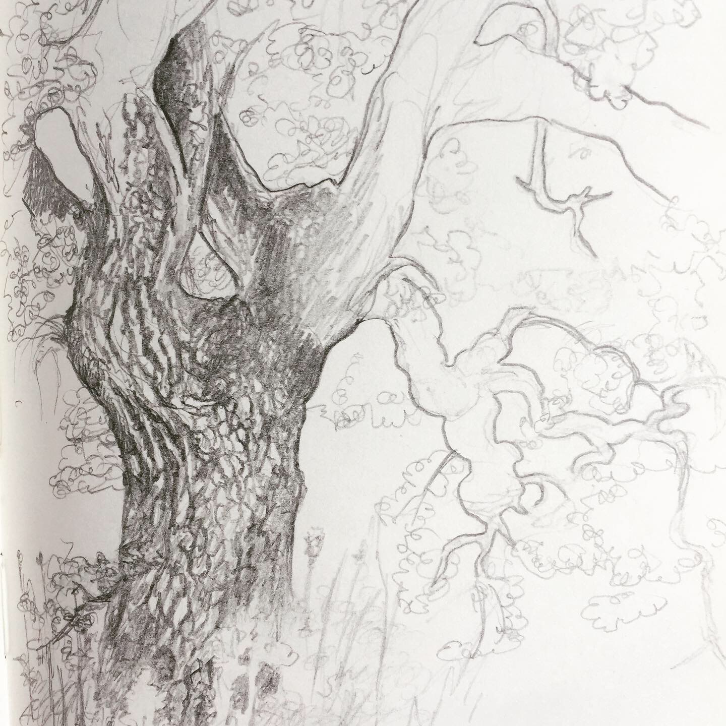 D68C2551-7895-46EE-8BB3-ED529EA9FF94